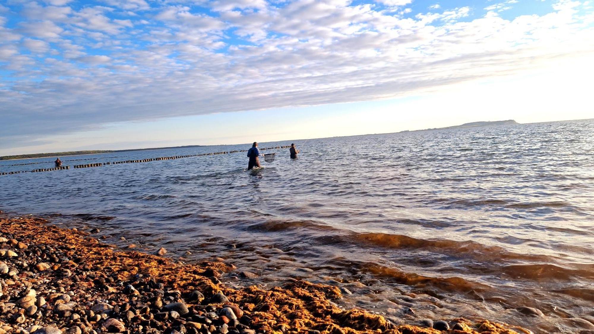 App 8O Grosser Tag Am Meer Mit Wasserblick Dranske Exteriér fotografie